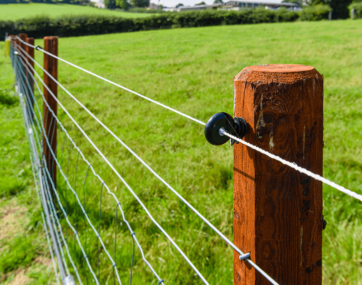 Close-up of rural electric fencing