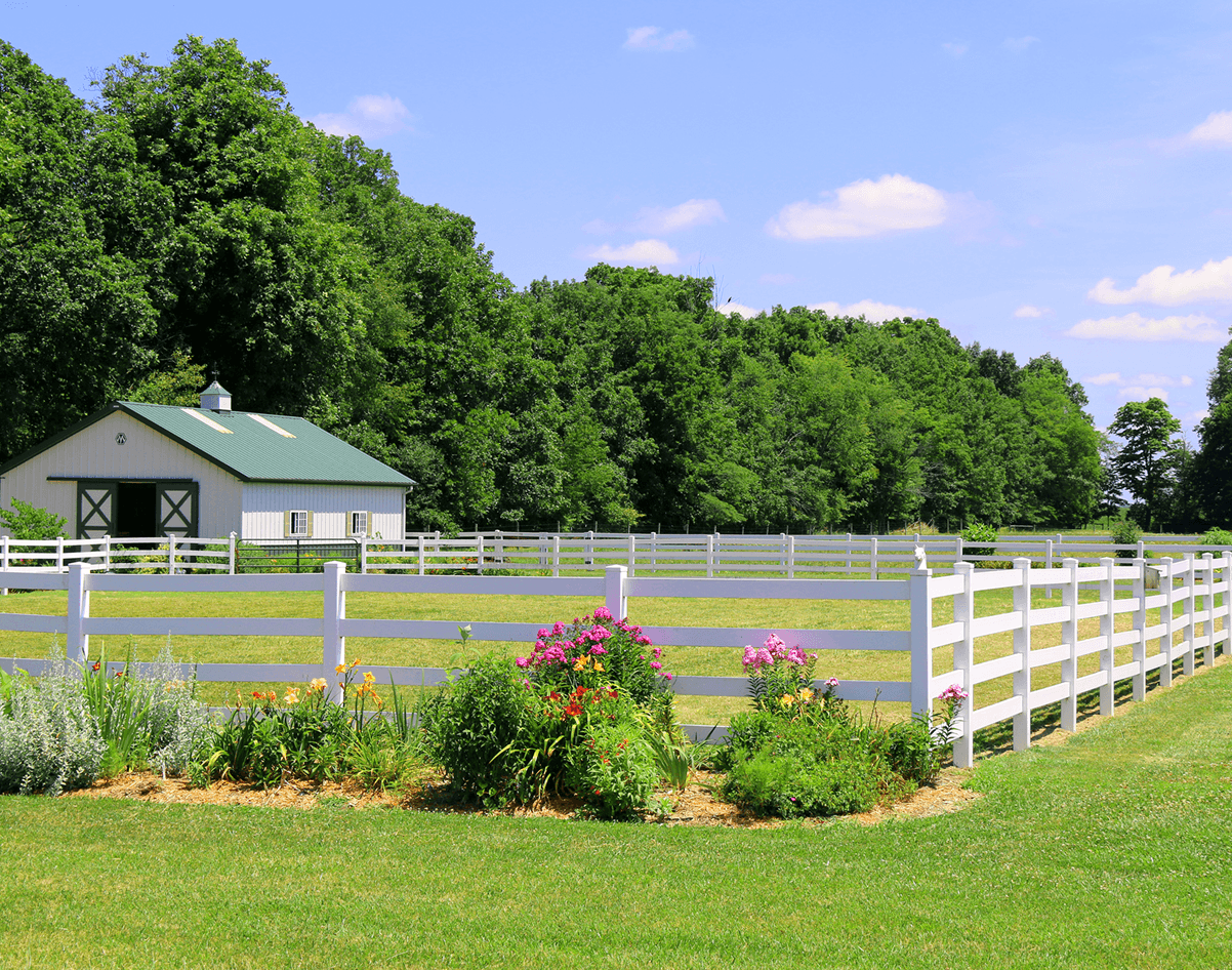 Scenic rural landscape with flowers