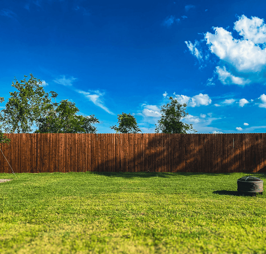 Outdoor garden with lush grass