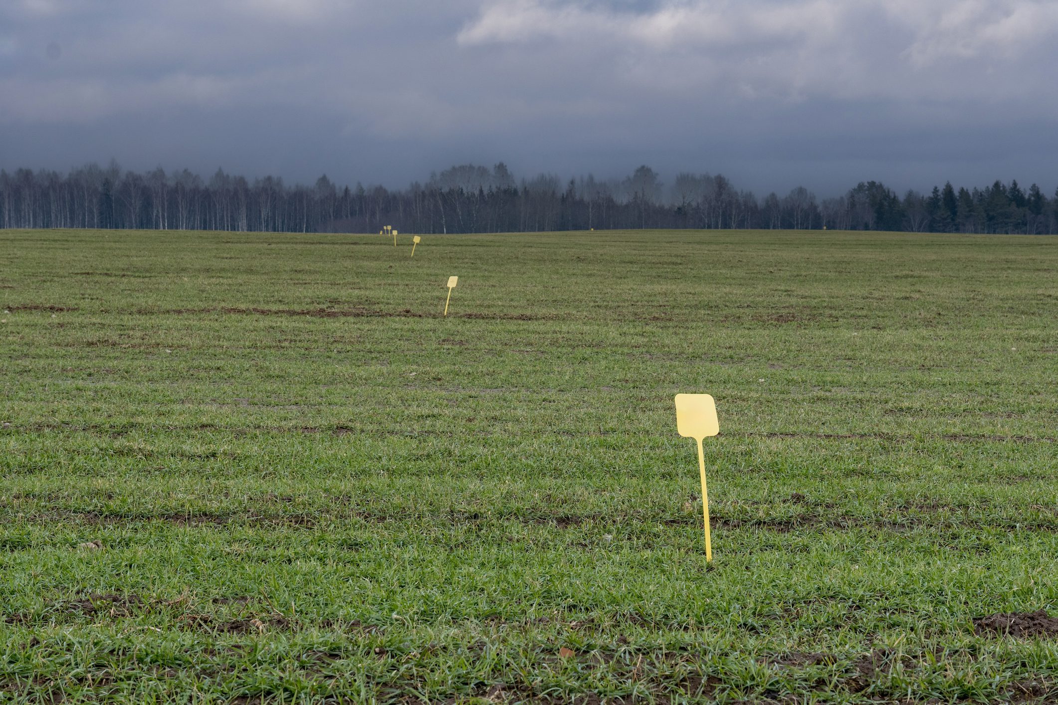 Green field under dark, cloudy sky.